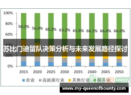 苏比门迪留队决策分析与未来发展路径探讨